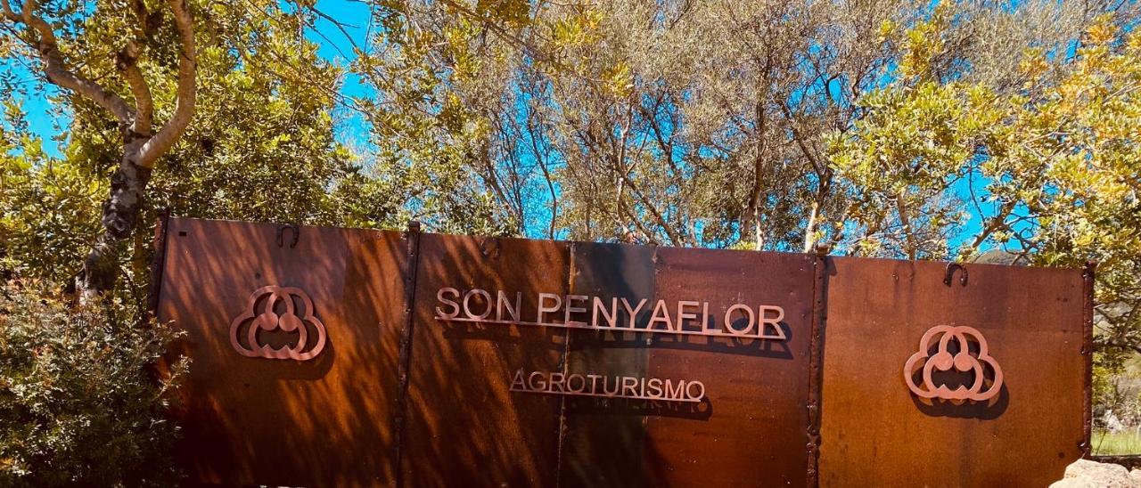 Agroturismo Son Penyaflor Guest House Alaró Eksteriør bilde